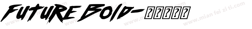 Future Bold字体转换